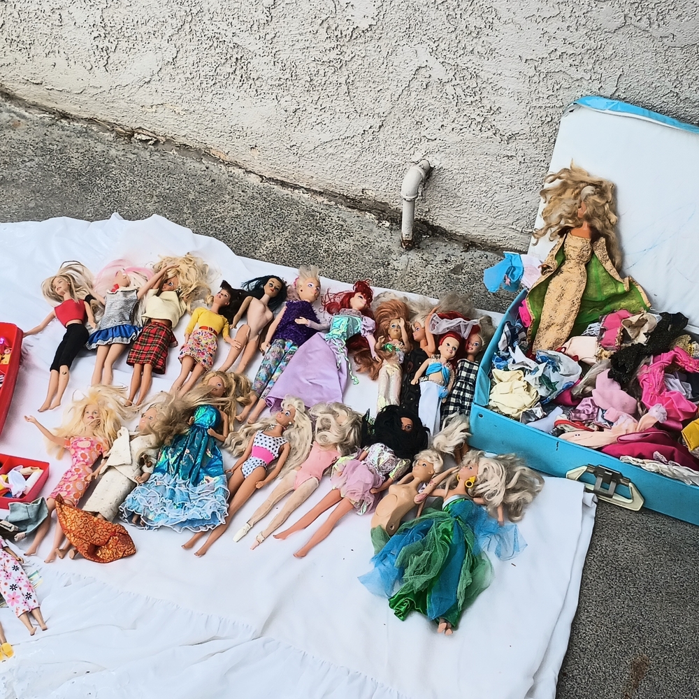 Assorted Fashion Dolls Set